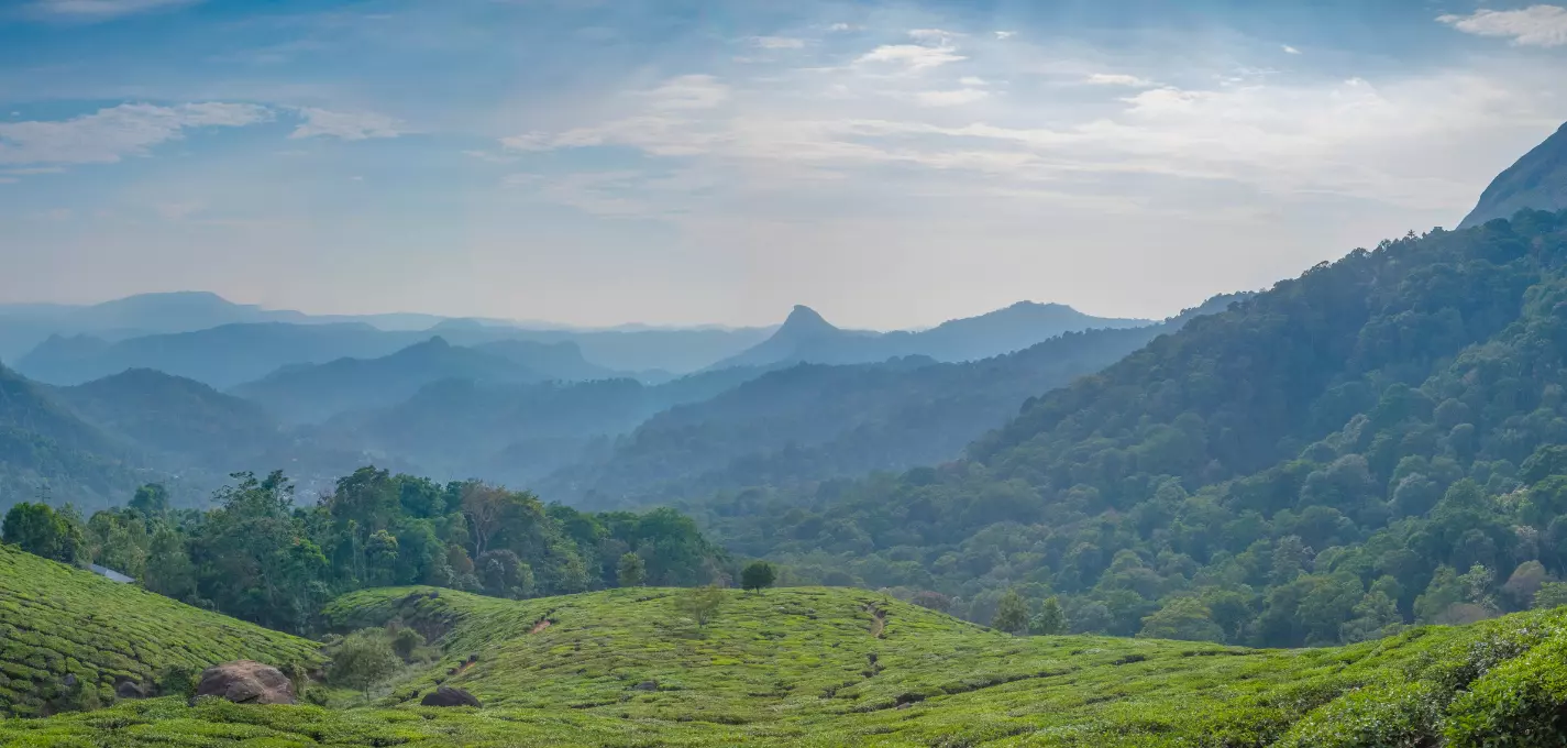 Kerala Coastal Breweries